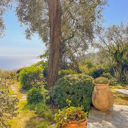Villa L'Uliveto Di Santa Con Piscina à Santa Margherita Ligure Extérieur photo