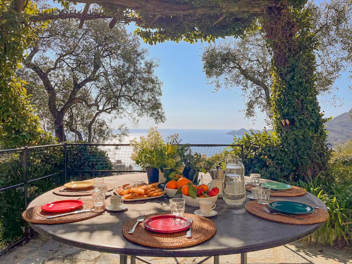 Villa L'Uliveto Di Santa Con Piscina à Santa Margherita Ligure Extérieur photo